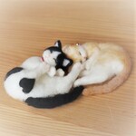 【リクエスト】ぱんだ♥うに