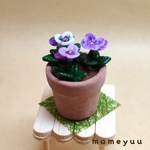 ミニチュア 鉢植え(パープル系)