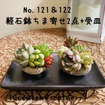 受皿付き２点セット★軽石鉢ちまちま多肉寄せ植え☆