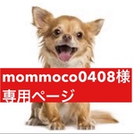専用ページ