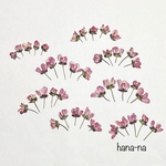 2022＊春🔻赤花ユキヤナギ  40輪　＊ 押し花