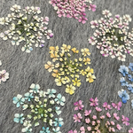 押し花311レースフラワー着色