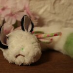若葉くだきつね＊妖怪＊ぬいぐるみ＊アートドール