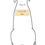 Jurtom1様専用