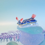 <フィギュア>〜アオウミウシ.1〜4/8迄の期間限定販売