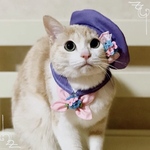 送料無料☆彡《受注製作》紫陽花セーラー♡セーラー服風〜猫の首輪