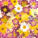 ♡new♡作家様必見♡押し花MIXセット♡押し花セット