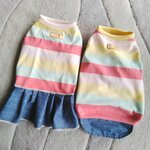 犬服！Msize！パステルボーダー　デニムスカート