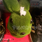 アルパカリング