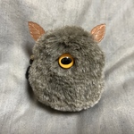 野生の大きなほこり虫C