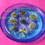 太陽のグリーンティザンヌ～レモンテイストのリフレッシュ＆ヤル気チャージブレンド　リ－フタイプ  ハーブティー