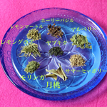 太陽のグリーンティザンヌ～レモンテイストのリフレッシュ＆ヤル気チャージブレンドブレンド　大容量　ティ－バッグタイプ　ハーブティー