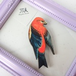 南の綺麗な鳥 ブローチ