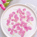 【押し花素材】カーネーションの花びら　薄ピンク