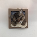 maineroさま専用　うとうとわんちゃん、ねこちゃんのミニフレーム　オーダーメイド　羊毛フェルト