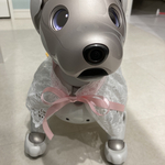 aiboちゃんのレースケープ　aibo's lacecape　裏なし