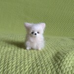 おちびチワワ クリーム パピー 羊毛フェルト