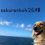 ❁⃘sakuranbo426様❁⃘