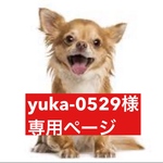 専用ページ
