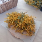 □送料無料□ミモザのドライフラワー 花材セット