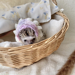 ❁capuche❁ カプチェフラワー♡⃛藤【送料込】