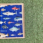 ランチョンマット　ランチマット　男の子　魚　海の生き物　図鑑　フィッシュ