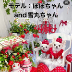 erichocota様専用