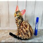 羊毛フェルト　猫　ベンガル　ねこ　ネコ　猫フィギュア　