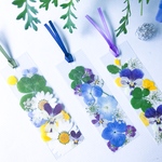 四葉のクローバー🍀季節の花3枚セット押し花しおり