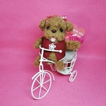 yuriii621様オーダー品💐いつも、ありがとうねえ💕自転車バージョン&バイクバージョン