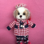 シーズーちゃん(大)山ガール