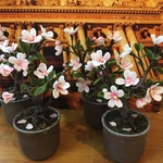 《再販しました！》ミニチュア盆栽〈山桜〉