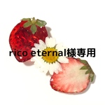 【ricoeternal様専用】いちごバレッタ