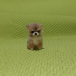おちび豆柴　赤　パピー　羊毛フェルト