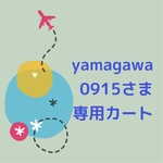 yamagawa0915さま専用カート