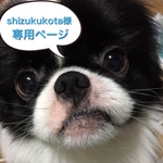 shizukukota様専用ページ
