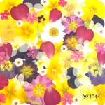 ♡new♡作家様必見♡押し花MIXセット♡押し花セット