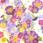 ♡new♡作家様必見♡押し花MIXセット♡押し花セット