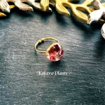 〖再販〗【蛇とガーネット】白蛇のタリスマンリング✶無限の発展✶ring of talisman/KakeraPlants