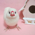 羊毛フェルト　リアルで可愛い白文鳥　ゆこりん工房