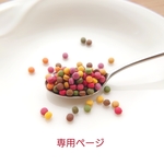 【お客様専用ページ】