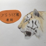 ysうさぎ様専用