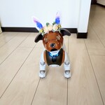 aiboイースター🌸カチューシャ ホワイト