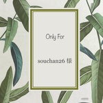 [souchan26様専用] リバティよだれカバー♡ベビービョルン 【ONE KAI 】