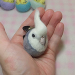 オカメインコ・ＷＦ(ホワイトフェイス)　☆選べる2タイプ☆(Aマグネット・Bクリップ付ブローチピン)  コロコロ♪丸顔  羊毛の小鳥  