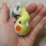 コロコロ♪丸顔  羊毛の小鳥  オカメインコ・ルチノー　☆選べる3タイプ☆(Aマグネット・Bクリップ・Cクリップ付ブローチピン)