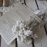 ＊母子草のスワッグ♡セット＊ナチュラル雑貨＊