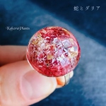 【蛇とダリア】ダリアと金箔入 白蛇のタリスマンリング(ラージサイズ)✶無限の発展✶ring of talisman large/KakeraPlants