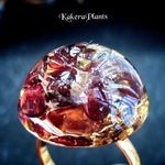 【ブラッドムーン】✨ガーネット✨白蛇のタリスマンリング(ラージサイズ)✶無限の発展✶ring of talisman large/KakeraPlants