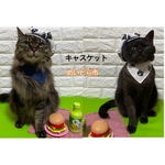 春のお散歩コーデ2022、猫ちゃんの帽子